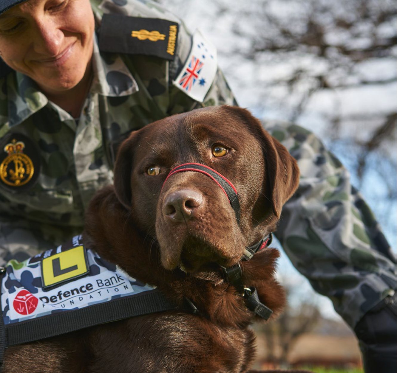 ANZAC Day: One customer-owned bank’s paw-legged gift